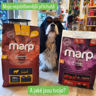 A jaké jsou příchutě máte nejraději vy? #marppetfood #cavalierkingcharlesspaniel #petstore