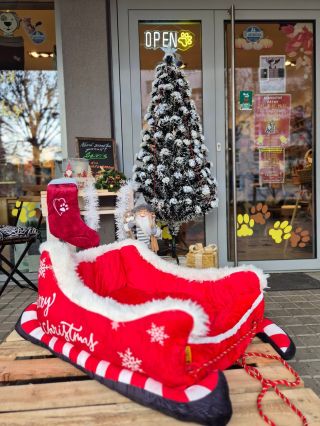 🎄🎄🎄❤️🦮chcete pro Vašeho hafana originálni vánočni pelíšek nebo obleček?tak si přijďte k nám do našeho obchůdku🎄❤️těšime se...